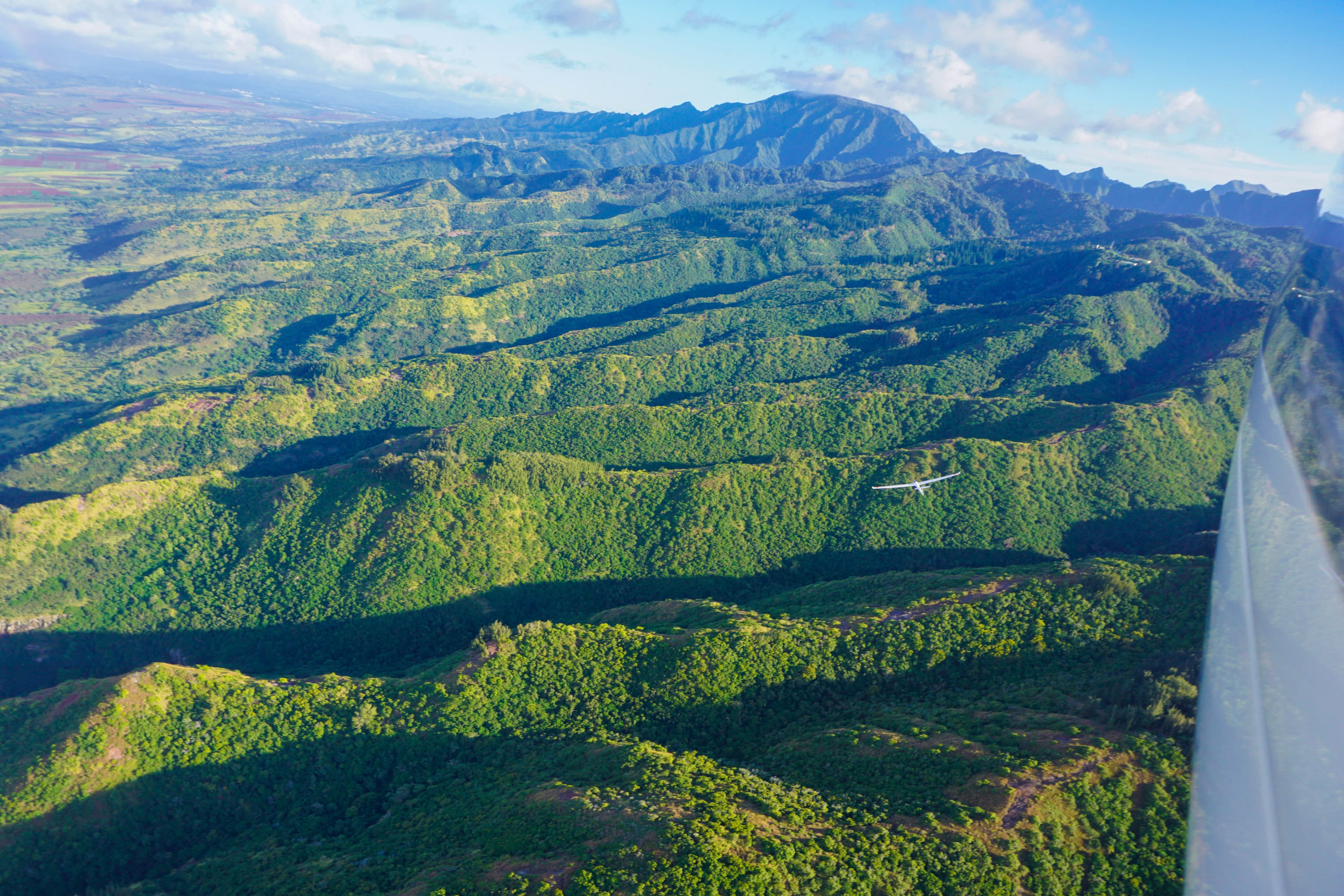 Sailplane glider soaring beside Mount Kaʻala on the North Shore.